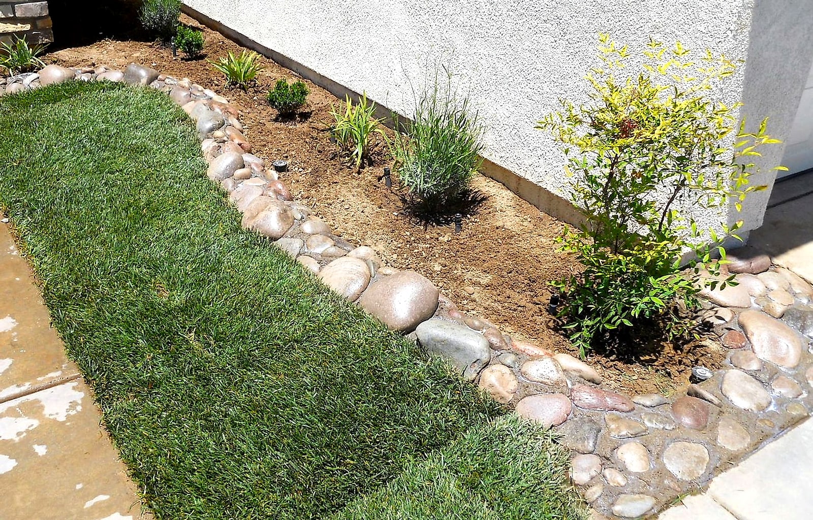 Fresh sod along a house bed edged with river rock