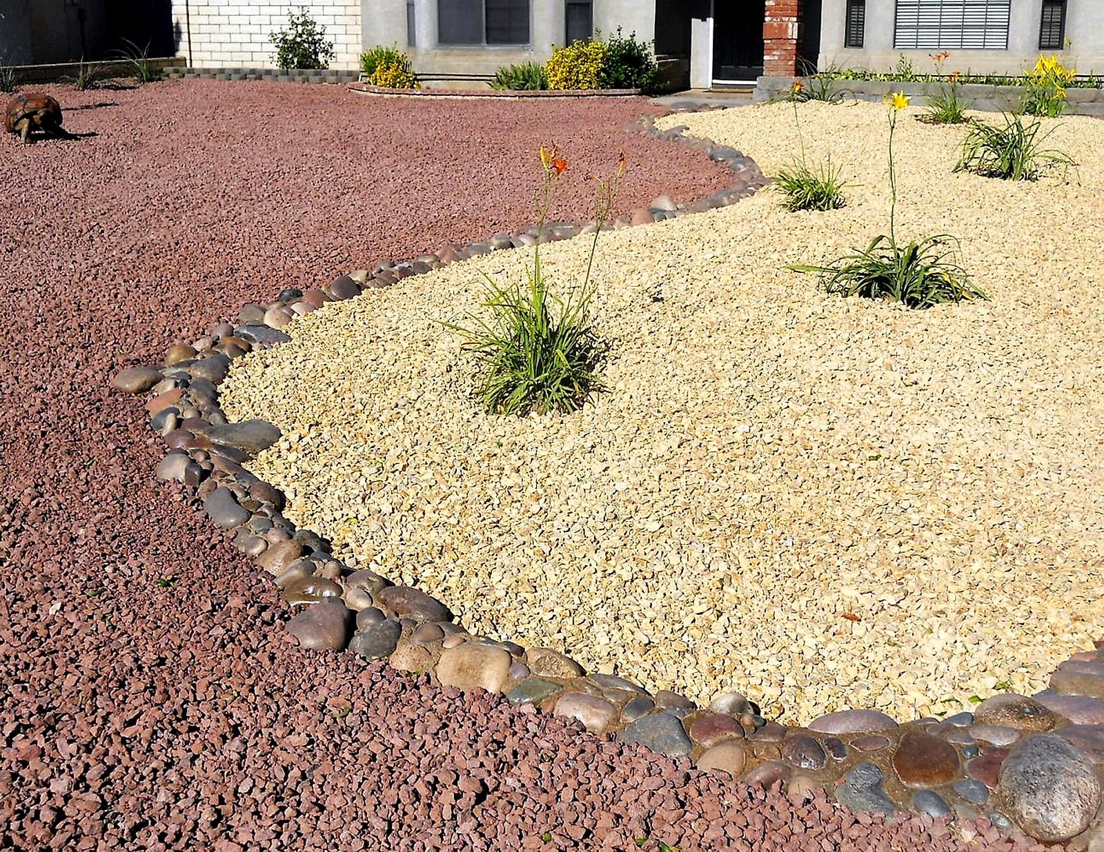 A front yard by Gary: red lava rock and gold gravel split by a river cobble curb, with yuccas