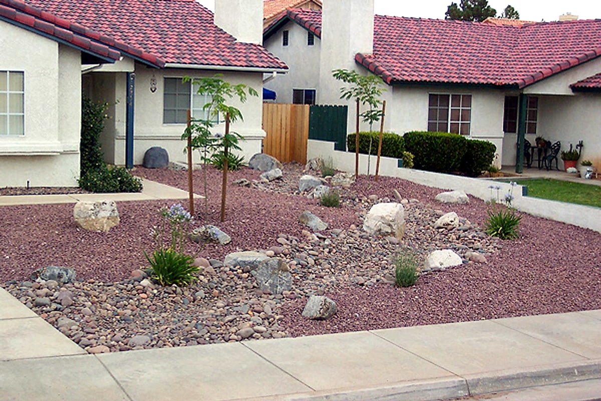 Red rock front yard with young trees and boulders